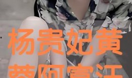 杨贵妃黄蓉版在线观看,穿越时空的绝世佳人